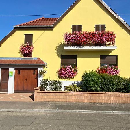 Alsace Clim Pres Colmar Jardin Balcon Parking Garage Velos, Motos Oberhergheim Экстерьер фото