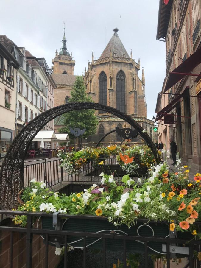 Alsace Clim Pres Colmar Jardin Balcon Parking Garage Velos, Motos Oberhergheim Экстерьер фото