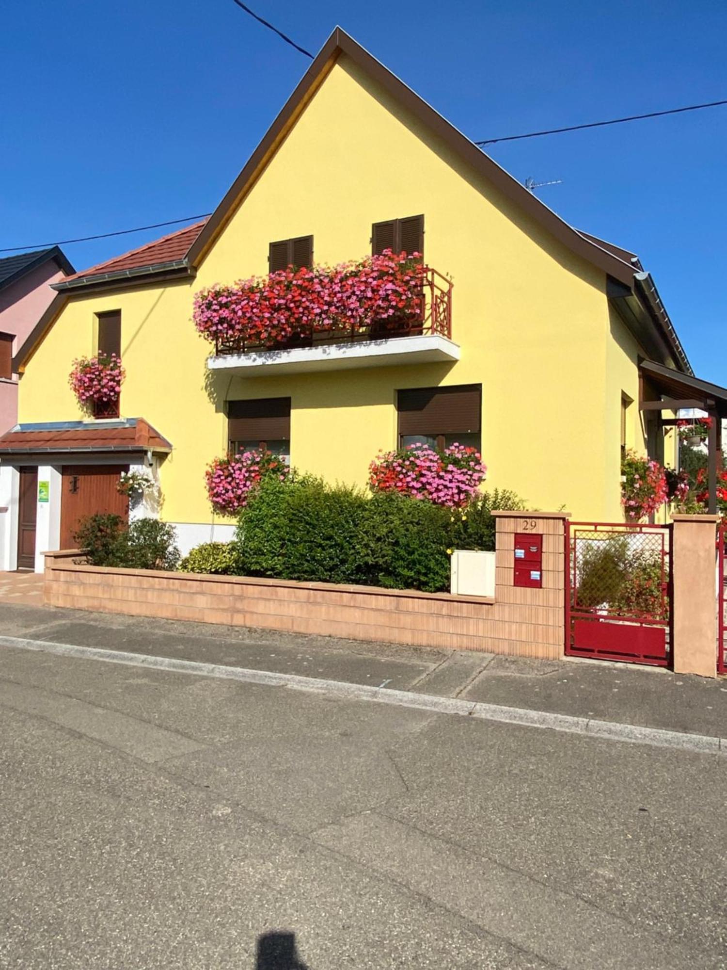 Alsace Clim Pres Colmar Jardin Balcon Parking Garage Velos, Motos Oberhergheim Экстерьер фото